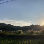 世間は三連休、自分は一日だけ。それでもいい。 #3715