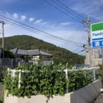 平日昼間に自宅で一人。でも、今日は楽しい。 #3718